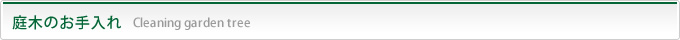 庭木のお手入れ